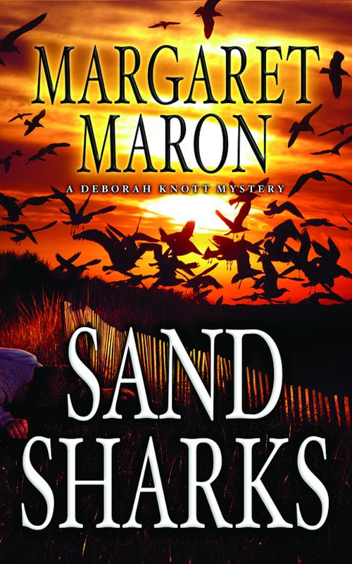 Обложка книги «Sand Sharks»