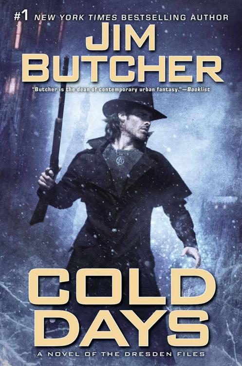 Обложка книги «Cold Days»