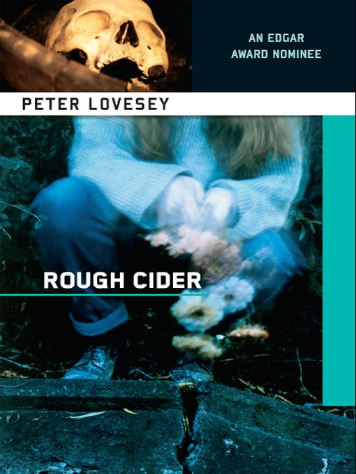 Обложка книги «Rough Cider»