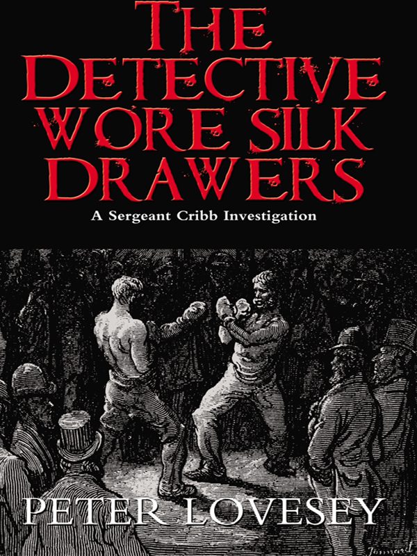 Обложка книги «The Detective Wore Silk Drawers»