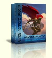 Обложка книги «Ангел первого уровня»