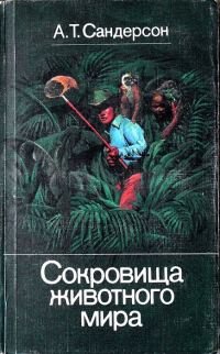 Обложка книги «Сокровища животного мира»