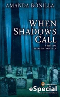 Обложка книги «When Shadows Call»