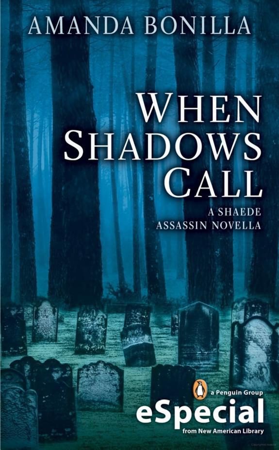 Обложка книги «When Shadows Call»