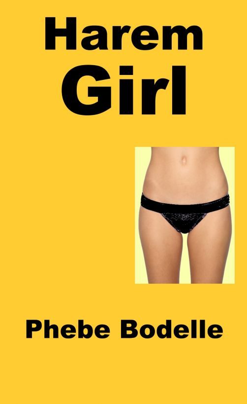 Обложка книги «Harem Girl»