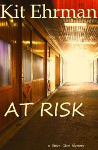 Обложка книги «At Risk»