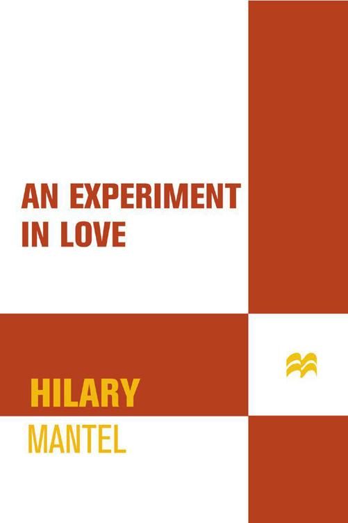Обложка книги «An Experiment in Love: A Novel»