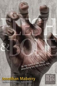 Обложка книги «Flesh & Bone»