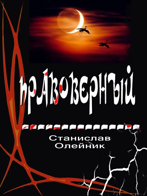 Обложка книги «Правоверный»