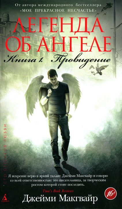 Обложка книги «Провидение»