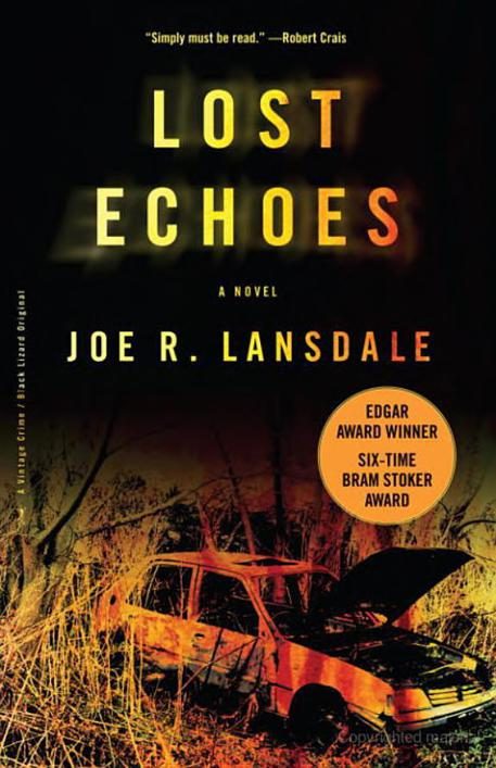 Обложка книги «Lost Echoes»