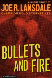 Обложка книги «Bullets and Fire»