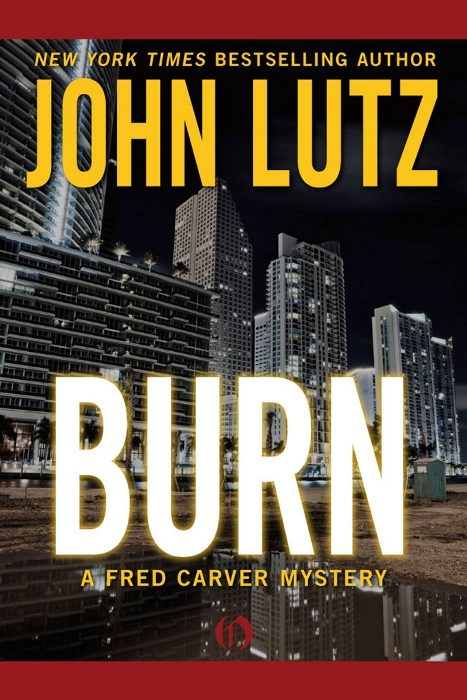 Обложка книги «Burn»