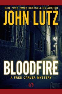Обложка книги «Bloodfire»