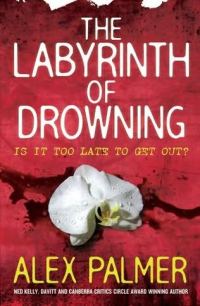 Обложка книги «The Labyrinth of Drowning»