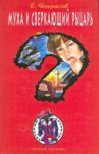 Обложка книги «Муха и сверкающий рыцарь»