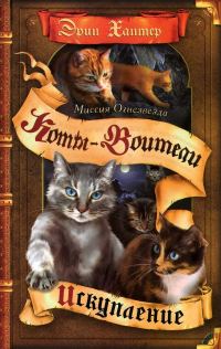 Обложка книги «Миссия Огнезвезда. Книга 1. Искупление»