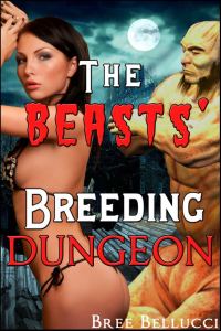 Обложка книги «The Beasts' breeding dungeon»
