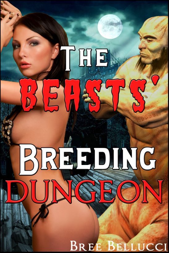 Обложка книги «The Beasts' breeding dungeon»