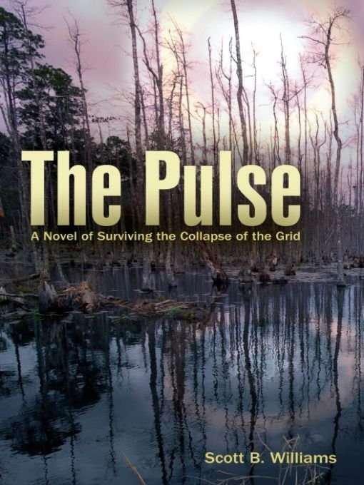 Обложка книги «The Pulse»