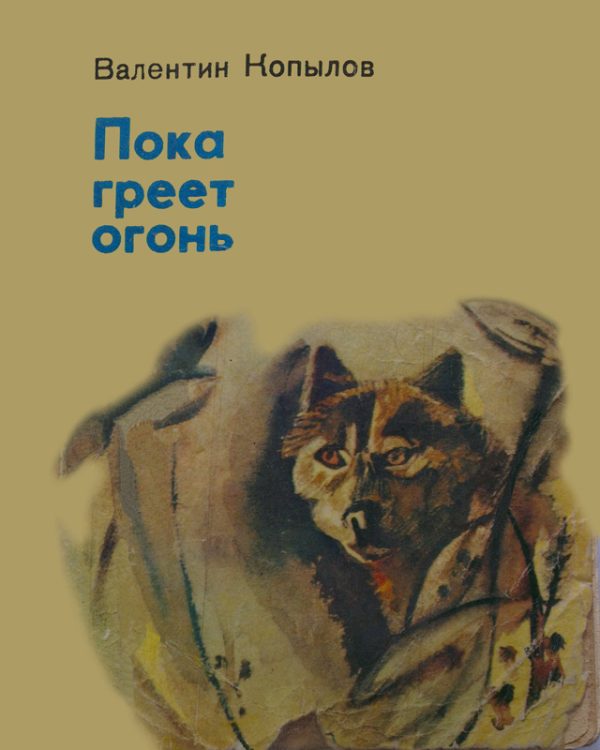Обложка книги «Пока греет огонь»