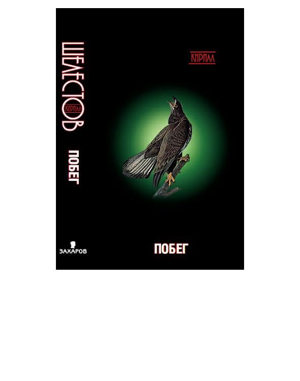 Обложка книги «Побег»