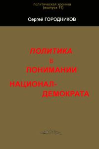 Обложка книги «Политика в понимании национал-демократа»