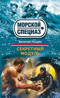 Обложка книги «Секретный модуль»
