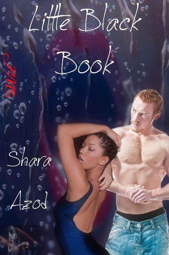 Обложка книги «Little Black Book»