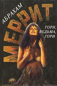 Обложка книги «Гори, ведьма, гори!»