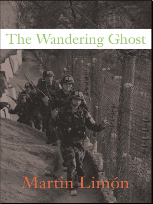Обложка книги «The Wandering Ghost»