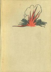 Обложка книги «Советские партизаны»