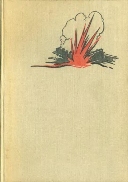 Обложка книги «Советские партизаны»