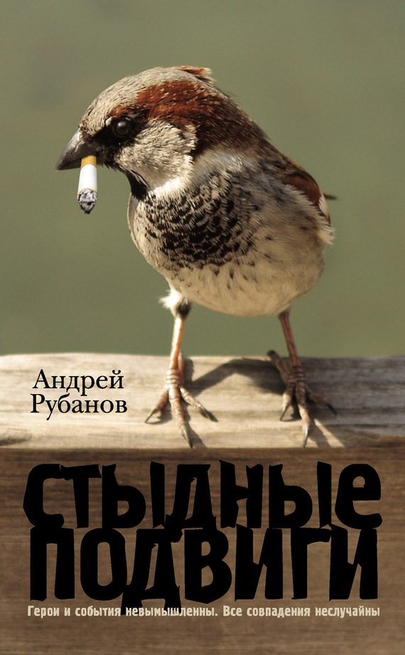 Обложка книги «Стыдные подвиги»