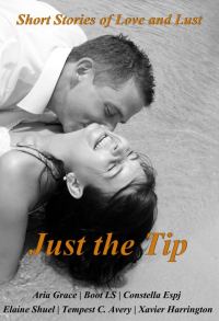 Обложка книги «Just the Tip: Short stories of love and lust»