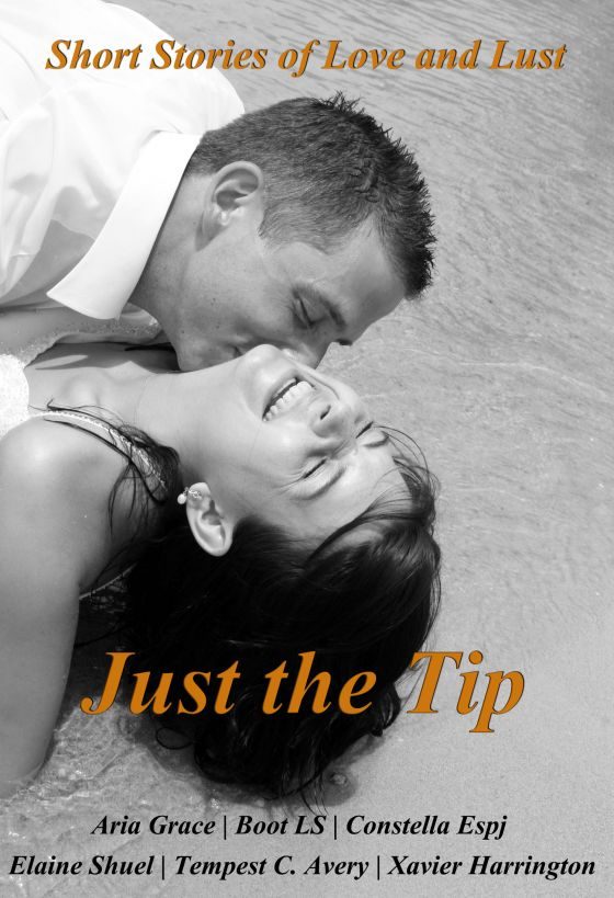 Обложка книги «Just the Tip: Short stories of love and lust»