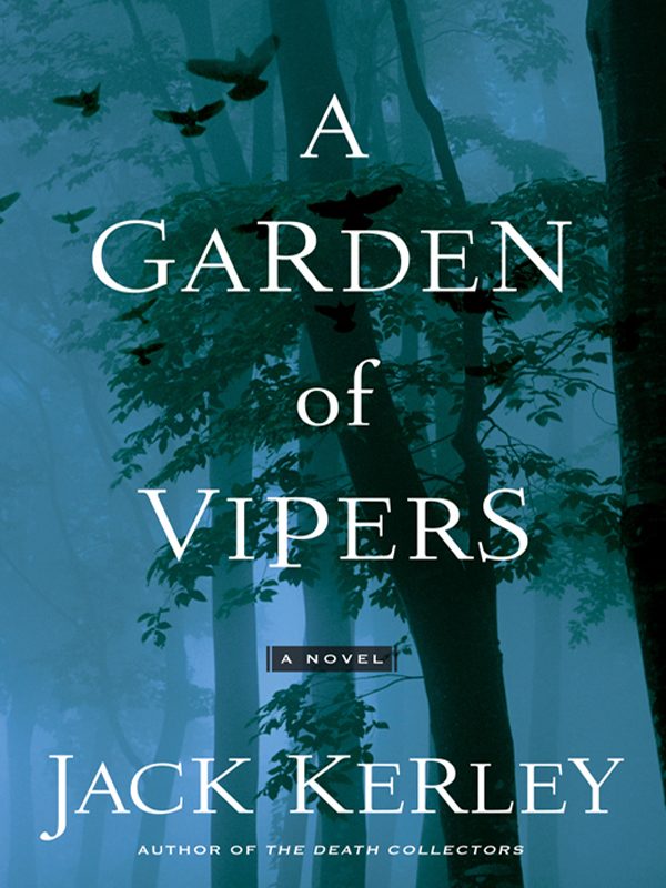 Обложка книги «A Garden of Vipers»