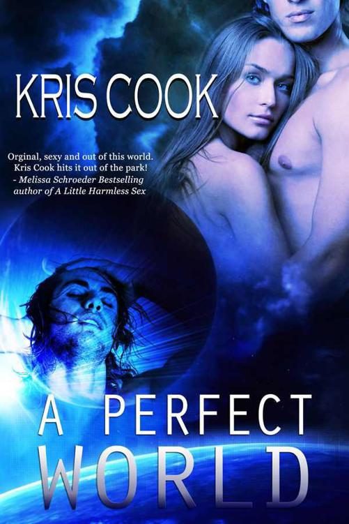 Обложка книги «A Perfect World»