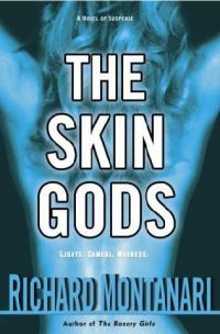 Обложка книги «The Skin Gods»