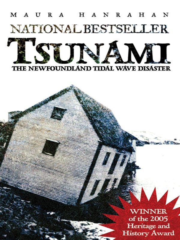 Обложка книги «Tsunami: The Newfoundland Tidal Wave Disaster»
