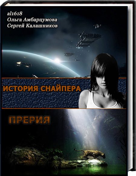 Обложка книги «Снайпер. Дара»