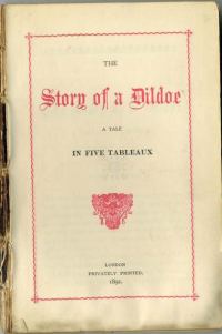 Обложка книги «The story of a Dildoe»