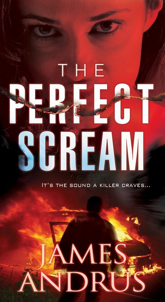 Обложка книги «The Perfect Scream»