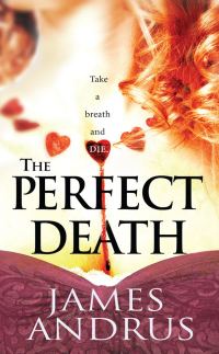 Обложка книги «The Perfect Death»
