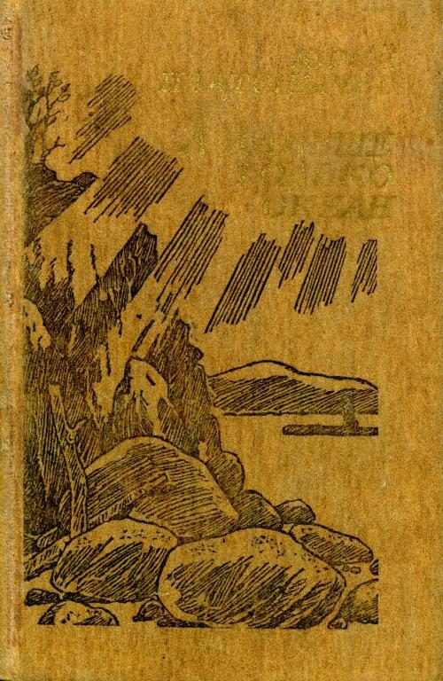 Обложка книги «А дальше только океан»