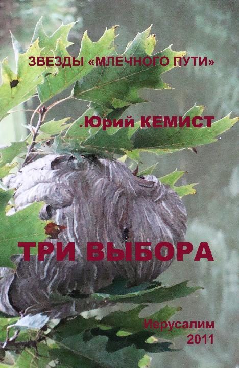 Обложка книги «Три выбора»
