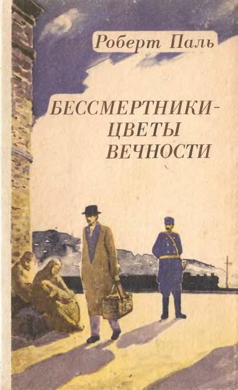 Обложка книги «Бессмертники — цветы вечности»