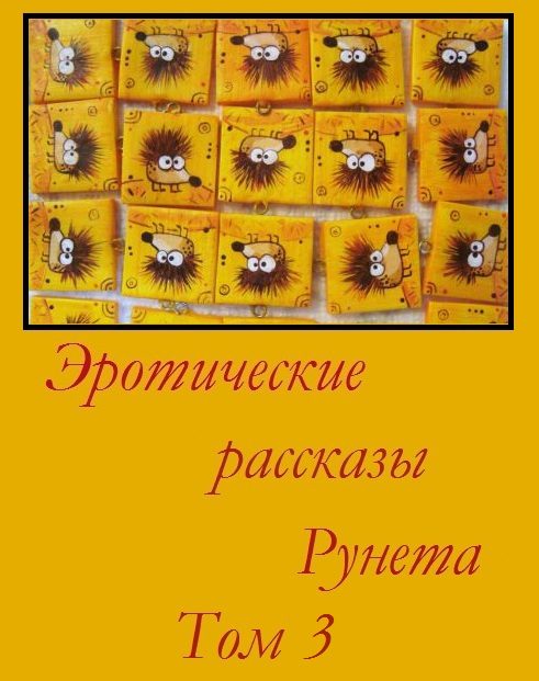 Обложка книги «Эротические рассказы Рунета - Том 3»