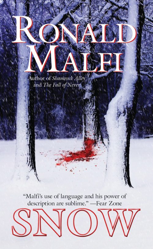 Обложка книги «Snow»