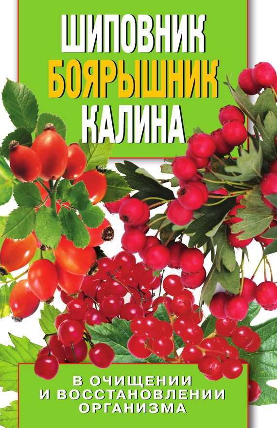 Обложка книги «Шиповник, боярышник, калина в очищении и восстановлении организма»